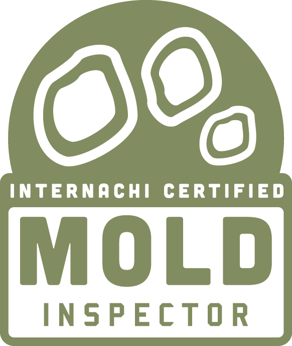 Air Quality - Mold Inspection - Modern Home Inspections Check your air quality today and ensure your family is not breathing in mold spores.